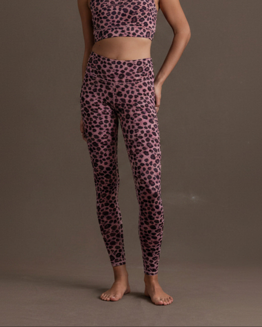 Leggings Leo Rose