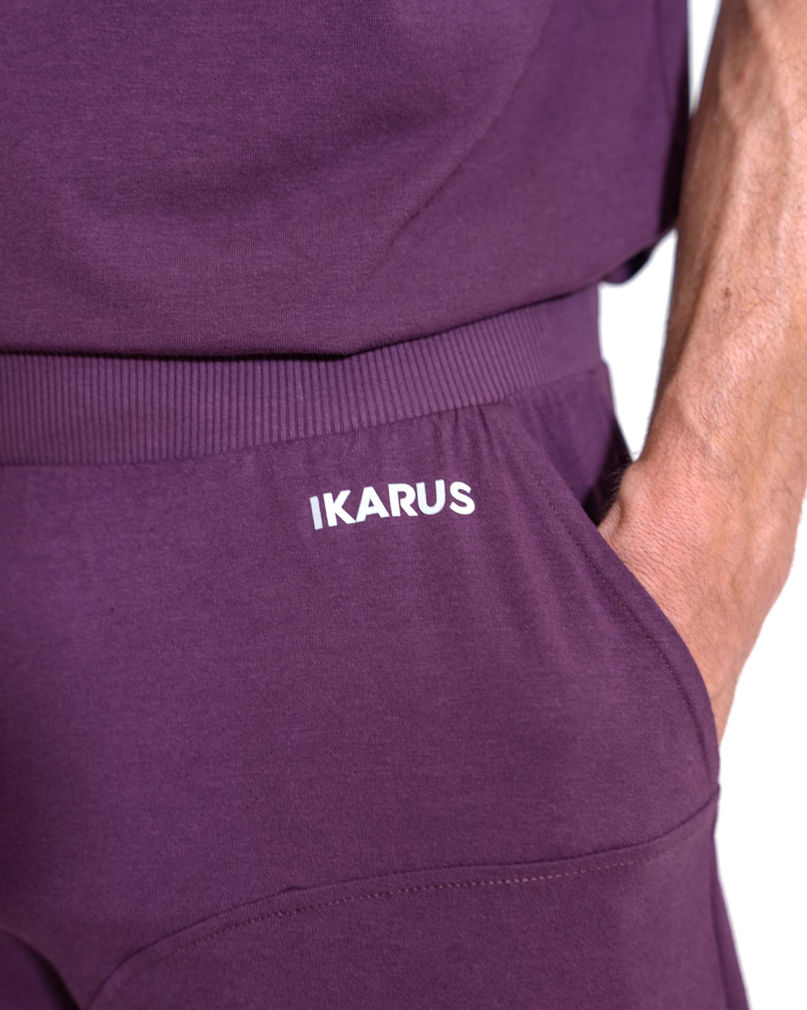 PHOENIX Shorts - Darkpurple