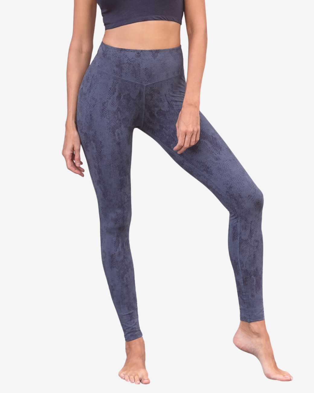 Leggings Sumatra - Snake Bluegrey